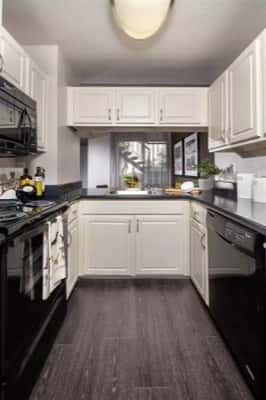 Charming 1 bed / 1 bath with great character! 860 Sq Feet 3