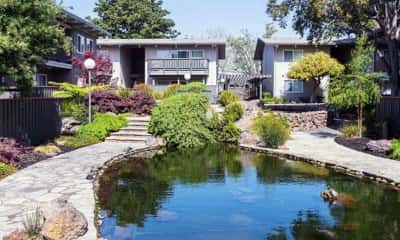 Emergency maintenance, Pet friendly, Swimming pool 1
