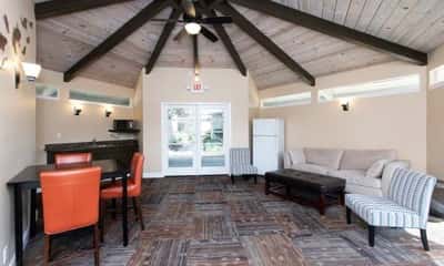Emergency maintenance, Pet friendly, Swimming pool 3