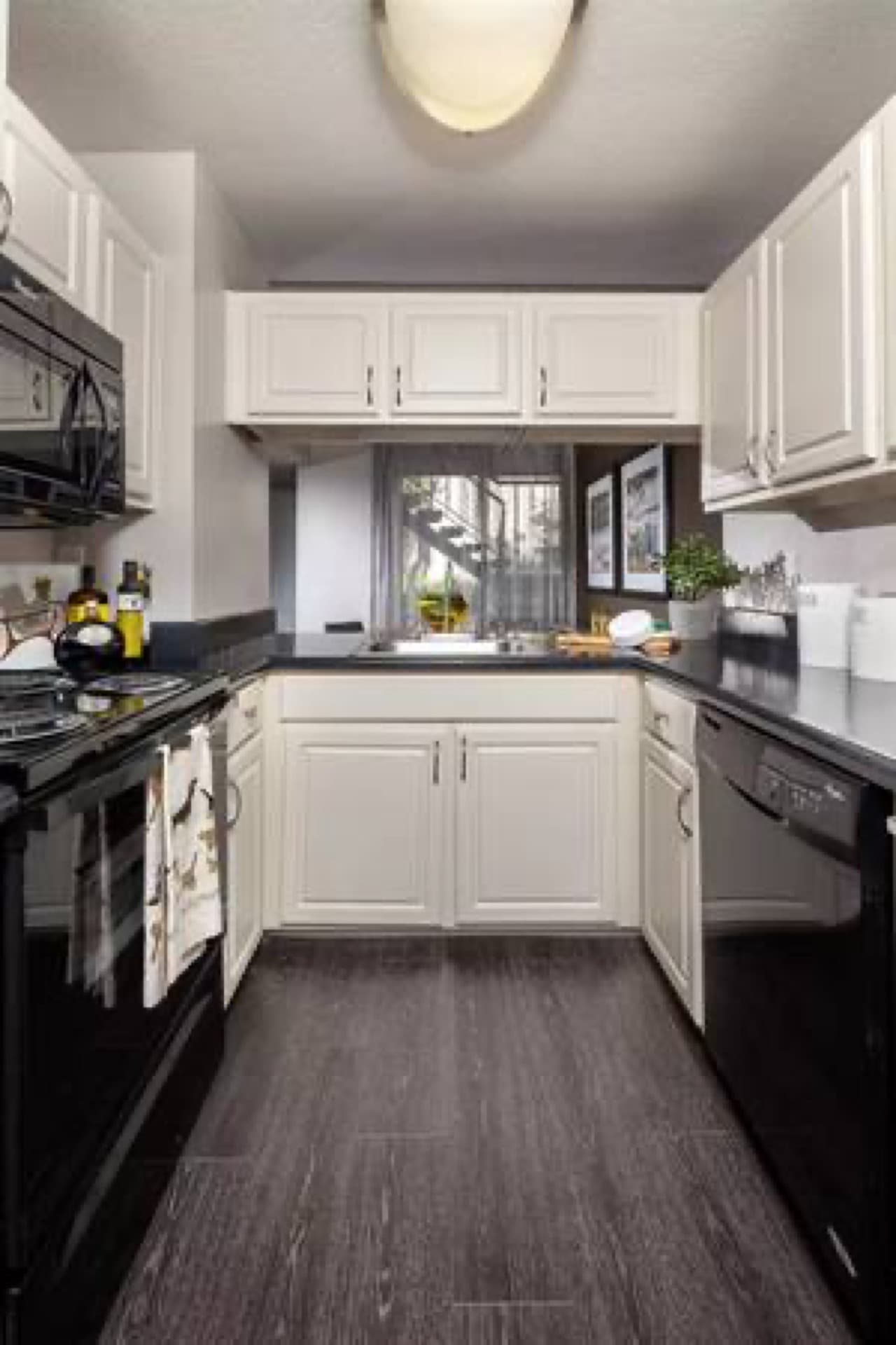 Charming 1 bed / 1 bath with great character! 860 Sq Feet 3